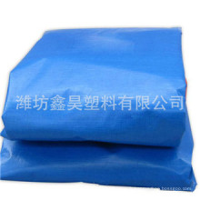 Chine Bâche de PE, bâche de toile, couverture de bâche de bâche de tissu de bâche de PE / bâche de PE